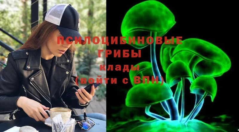 как найти наркотики  Салават  Псилоцибиновые грибы Cubensis 