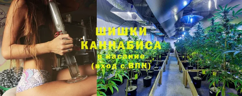 цена наркотик  shop наркотические препараты  Канабис White Widow  Салават 